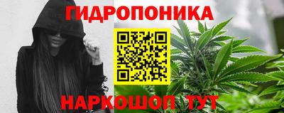 крисы Северобайкальск