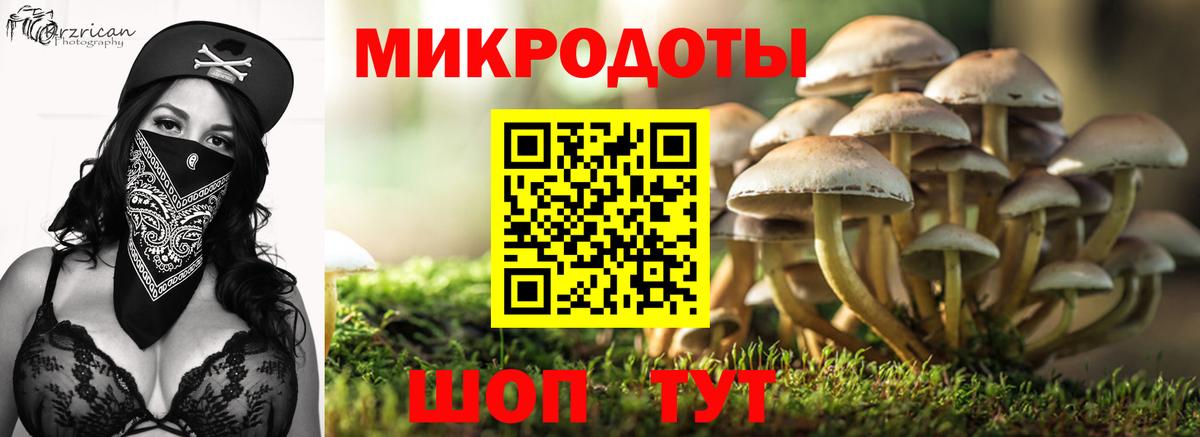 Псилоцибиновые грибы мицелий  Вход с VPN  Ногинск  Галлюциногенные грибы ЛСД 